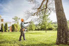 Professional  Tree Services in Polo, IL